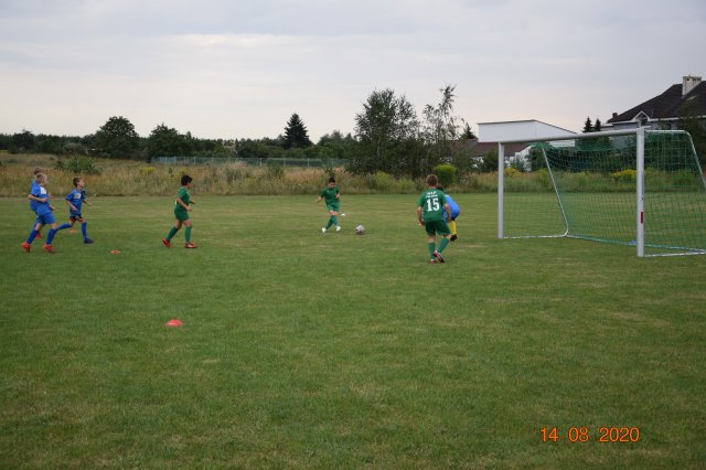 plewis 19